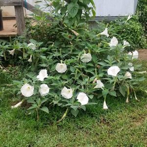 Meet your Posher, Pam